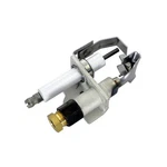 Raypak 002235F Propane Iid Pilot Assembly. Fixed Price $225.04.