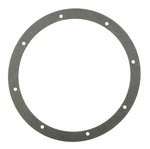 Pentair Light Niche Gasket Kit, Amerlite, 8-HOLE, Vinyl. Fixed Price $74.03.