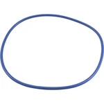 O-ring, Hayward Easyclear, Filter Cover : CX400G. Fixed Price $57.17.
