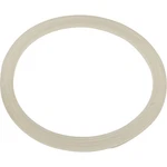 Gasket, Flat, Waterway Poly Storm Jet. Fixed Price $9.90.