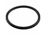 Pentair Filter Fns / TR100C TR140C Bulkhead O-ring (super-pro O-179). Fixed Price $13.25.