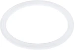 Waterway Poly Storm Jet Gasket Flat 711-4410. Fixed Price $12.95.