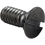 Hayward SPX1082Z1 Automatic Skimmers Cover Screw. Fixed Price $15.03.
