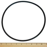 Pentair U9-373 Cord-ring For Seal Plate Replacement Select Sta-rite Pool.... Fixed Price $13.25.