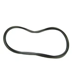 Paramount 005-152-0120-00 O-ring For Debris Canister. Fixed Price $29.24.