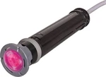 Hayward Colorlogic 160 (multi-color Options) 1.5 Led Spa/pool Light, 100 Cord. Fixed Price $418.99.