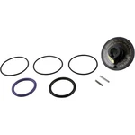 Rebuild Kit, Zodiac Jandy Slide Valve. Fixed Price $33.60.