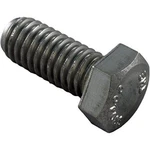 Pentair 070429Z, Stainless Steel. Fixed Price $9.95.