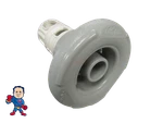 Cal Spa Gray 3 1/2" Jet Insert Maxi Flow Reg Face - 2001 American Products. Fixed Price $17.99.