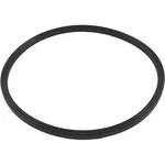 Quad Ring, Zodiac Jandy JS100-SM, Tank Lid. Fixed Price $26.22.