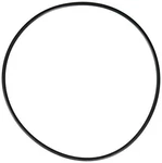 SPX0704F Hayward Cover O-ring. Fixed Price $24.94.