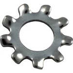 Pentair U43-21SS Lock Washer #8 Ext. Tooth For Sta-rite Dyna-pro. Fixed Price $11.85.