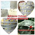 110V Led Strip Light Smd 4040*2 Flexible IP68 For In/outdoor.no Driver/needed!!. Fixed Price $275.99.