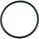 Pack!!! Pentair 071444 355227 Diffuser O-rings For Whisperflo-intelliflo. Fixed Price $12.95.