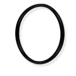 Polaris O-ring, Feed Pipe Assembly, 380/360. Fixed Price $11.10.