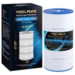 Poolpure PLFPXST100 Filter Replaces Hayward X-stream CC1000, CCX1000-RE,.... Fixed Price $44.95.