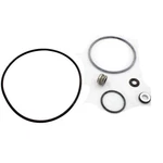Seal Kit, Pentair Sta-rite Duraglas Ii. Fixed Price $77.85.