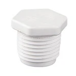 Custom 25520-050-020 2" Male Threaded Plug. Fixed Price $12.25.