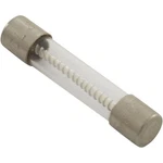 Fuse, Hydro-quip Slow Blo, 8A, 3AG, 800W, 115V. Fixed Price $10.00.
