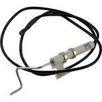Pentair Electrode Assembly Millivolt (075461). Fixed Price $62.29.