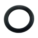 Jandy Zodiac P40 Shaft O-ring. Fixed Price $9.72.