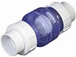 2.0" True Union Swing Check Valve Clear 1720C20. Fixed Price $109.99.