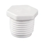 25520-050-020 Zodiac 2" Male Threaded Plug White. Fixed Price $10.20.