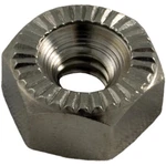 Hayward Hex Head Nut N.10-24 For Pump. Fixed Price $11.99.