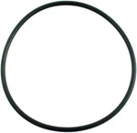 Waterway Swing Valve O-ring 805-0239B. Fixed Price $17.95.