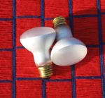 New Swimming Pool Light Bulb Volt Watt Flood 100R20 Frost. Fixed Price $33.45.