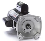 Century B1000 Pool And Spa Motor 5 Hp 208/230V Single Phase Energy Saving. Fixed Price $900.00.