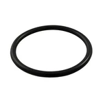 SPX1022CZ2 Hayward O-ring 1.5" Mpt Winter Plug. Fixed Price $10.10.