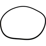 Jacuzzi EARTHWORKS/TC-300 Tank Body O-ring O-101 47-0569-99-R Generic. Fixed Price $19.10.