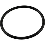 Waterway 805-0339 O-ring For Cartridge. Fixed Price $15.62.