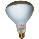 Hayward 120V 500W Flood Lamp Replacement. Fixed Price $27.99.
