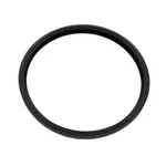 Hayward Astrolite Series Underwater Pool Light Lens Gasket SPX0580Z2 O-172. Fixed Price $13.20.