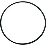 Pentair 355619Z Pinnacle/superflo Seal Plate O-ring. Fixed Price $27.59.