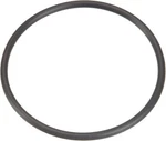 Replacement Sta-rite Pool Spa Filter Pumps And Valves With Pentair U9-362 O-ring. Fixed Price $8.99.