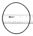 O-ring, Volute. Fixed Price $13.13.