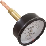 Temperature And Pressure Gauge, Raypak Heaters, 1/2", Bottom. Fixed Price $70.20.
