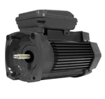 Pentair Square Flange Motor Phase 208/230V/460V 1.5 Hp 354808S. Fixed Price $375.00.