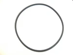 Hayward Northstar Pool Pump Seal Plate O-ring Replacement Part O-239 SPX4000T. Fixed Price $10.25.