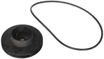 Zodiac R0479603 1.5-HP Impeller, Screw And Backplate O-ring Replacement For.... Fixed Price $55.00.