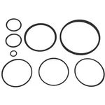 Jandy Zodiac R0502500 Fussion Ii O-ring Kit For NATURE2 Water Sanitizers. Fixed Price $84.75.