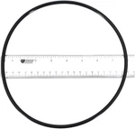 Pentair Bracket - Pinn Oring O465 355619Z. Fixed Price $20.95.