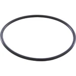 Jandy Zodiac R0412700 O-ring For Aquapure 2-PORT 2" Union. Fixed Price $17.71.