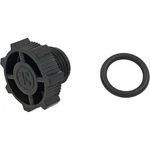 Drain Plug, Hayward Star-clear, 1/2". Fixed Price $16.80.