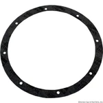 American Products 79200300 Light Niche Gasket Kit Pentair Amerlite. Fixed Price $61.83.