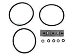 Zodiac R0452200 Jandy O-ring Terminal Adapter Kit. Fixed Price $33.29.