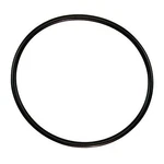 350013Z Pentair Lid O-ring. Fixed Price $12.40.